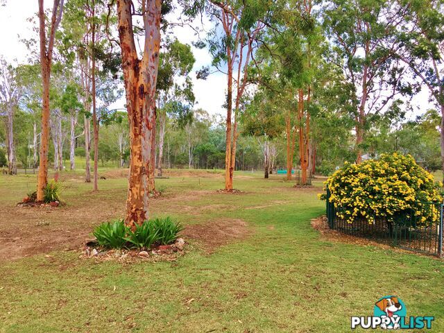 189 Brocklehurst Road WATTLE CAMP QLD 4615