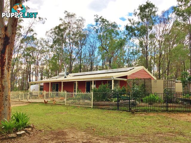 189 Brocklehurst Road WATTLE CAMP QLD 4615