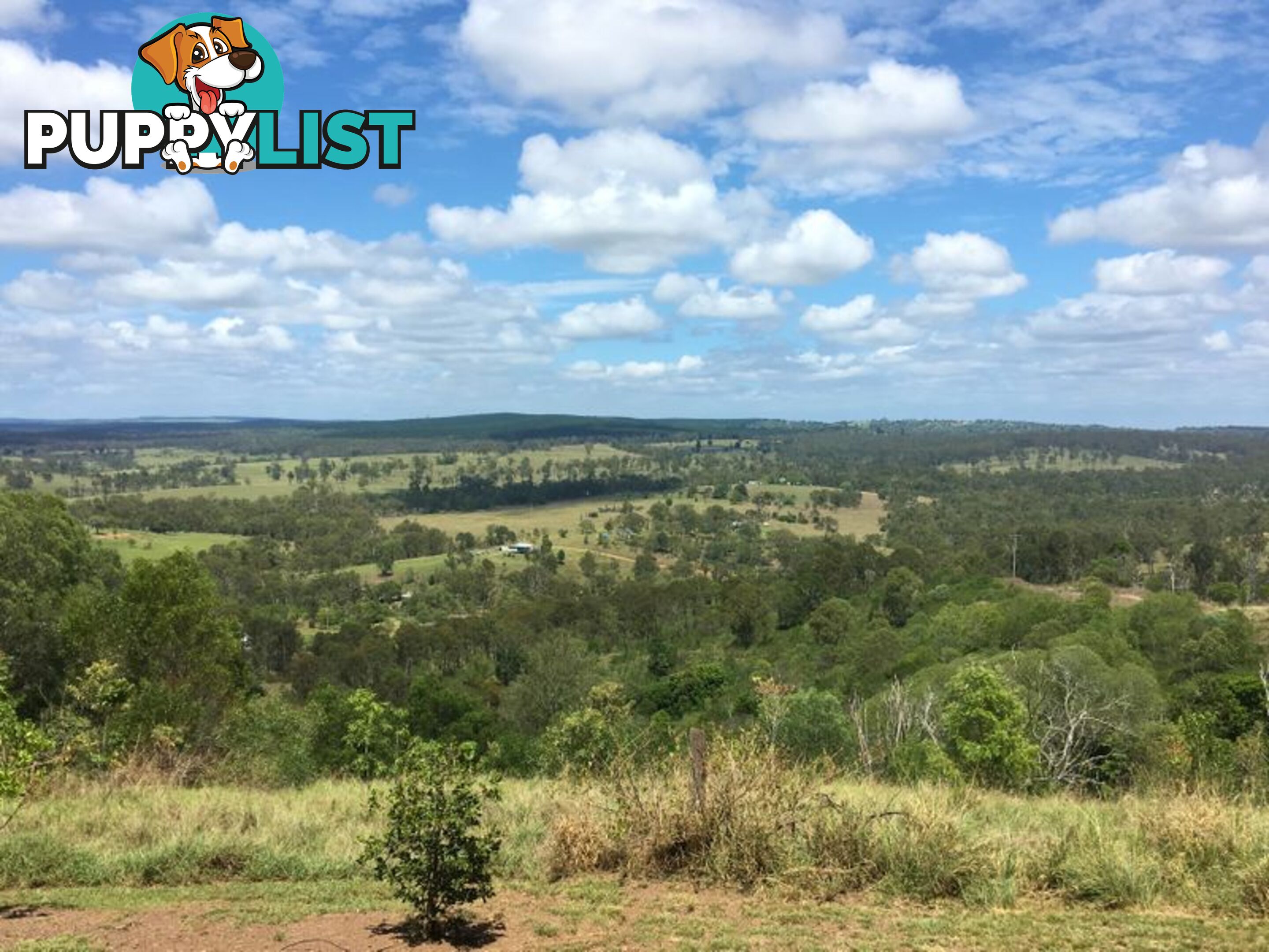 62 Muir Drive NANANGO QLD 4615