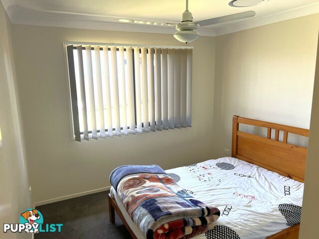 53 Webster Street KINGAROY QLD 4610