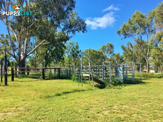 10 Weeks Road GOODGER QLD 4610