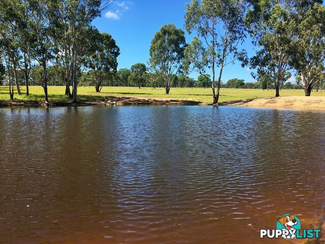 10 Weeks Road GOODGER QLD 4610