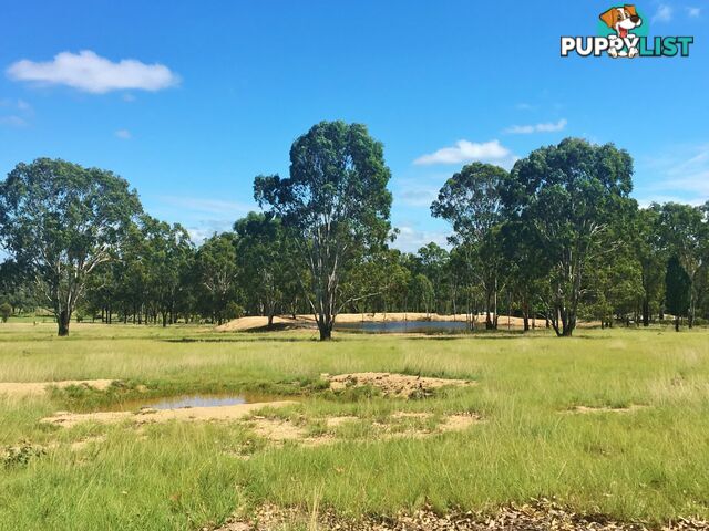 10 Weeks Road GOODGER QLD 4610