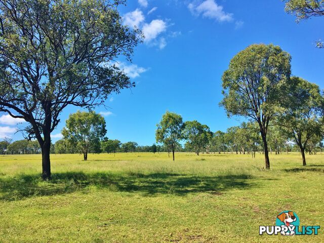 10 Weeks Road GOODGER QLD 4610