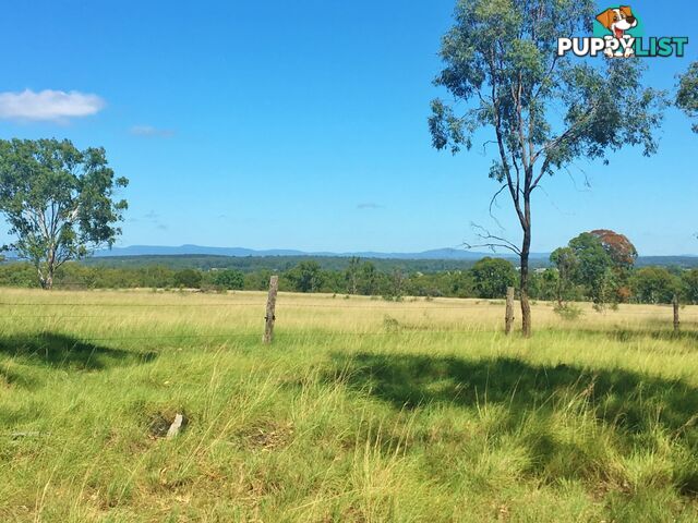 10 Weeks Road GOODGER QLD 4610