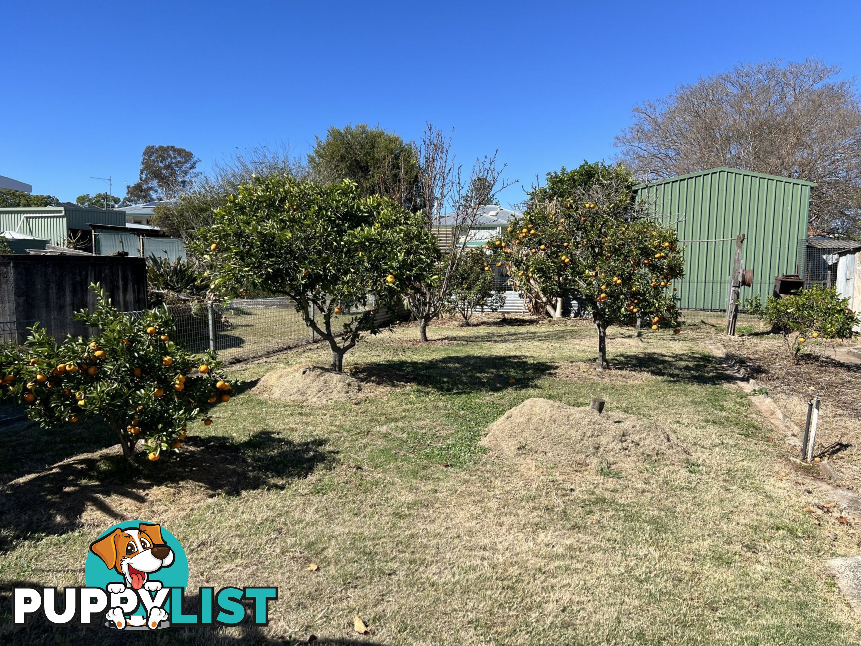 82 Edward Street WONDAI QLD 4606
