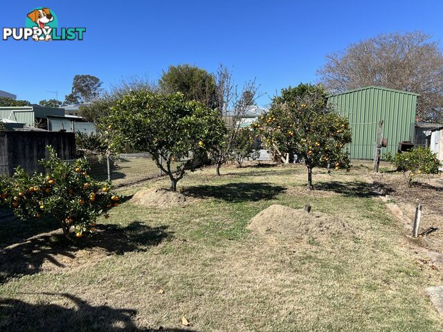82 Edward Street WONDAI QLD 4606