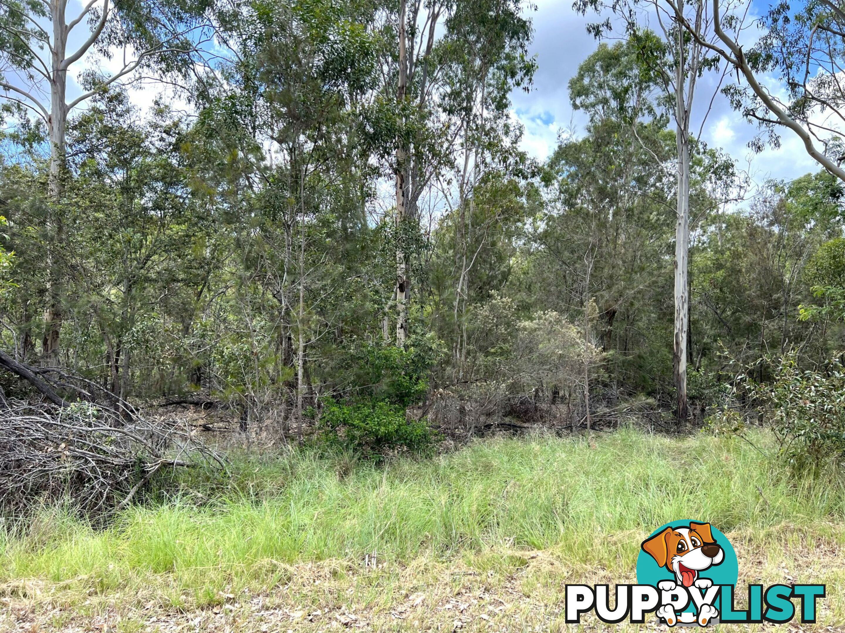 Lot 102 McNicholl Road WATTLE CAMP QLD 4615