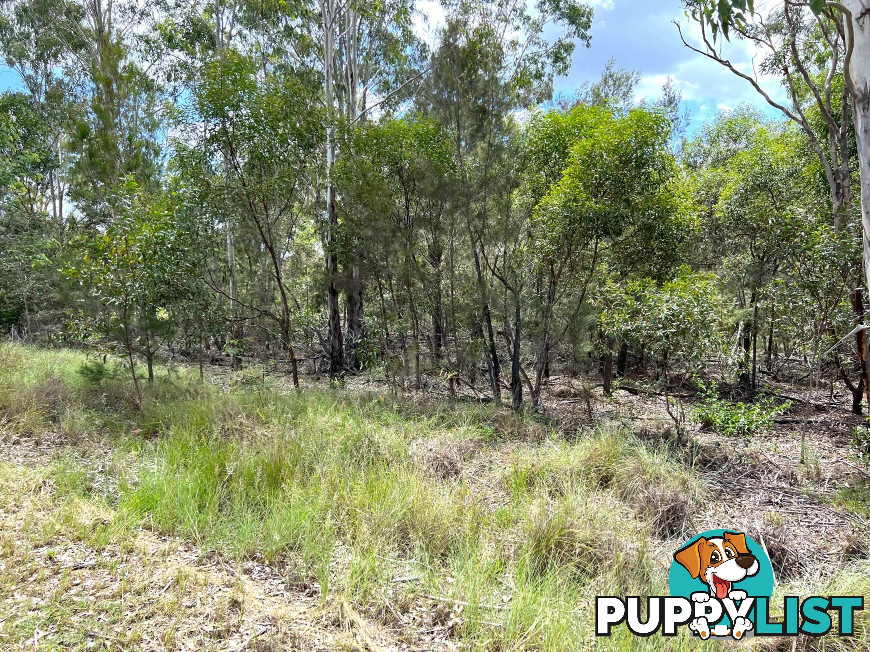 Lot 102 McNicholl Road WATTLE CAMP QLD 4615