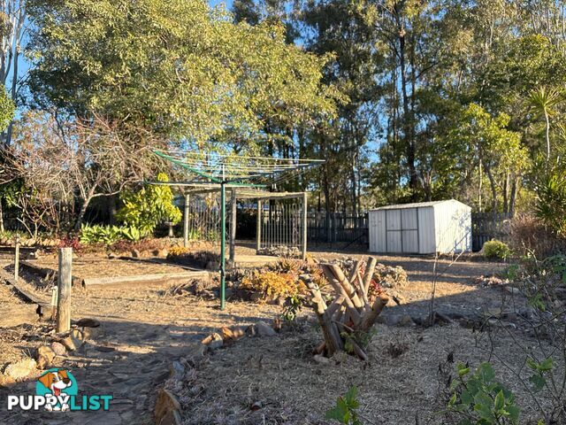 102 Baynes Street WONDAI QLD 4606
