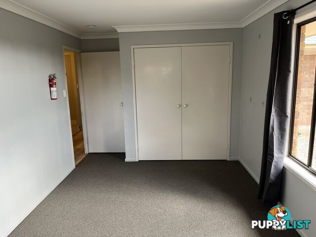 102 Baynes Street WONDAI QLD 4606