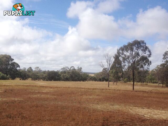 109 Cemetary Road TINGOORA QLD 4608