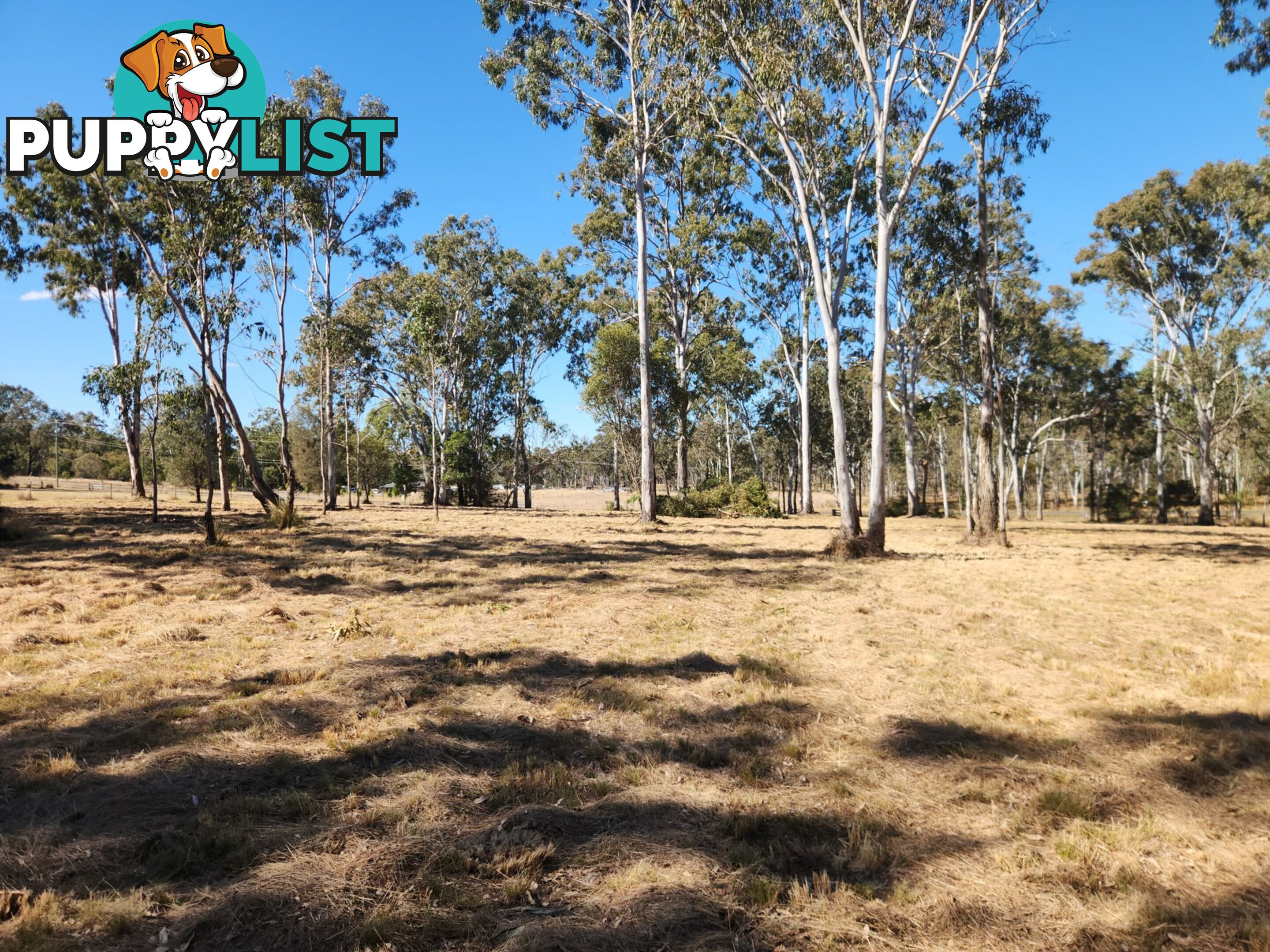 Lot 50 McClymont Road WATTLE CAMP QLD 4615