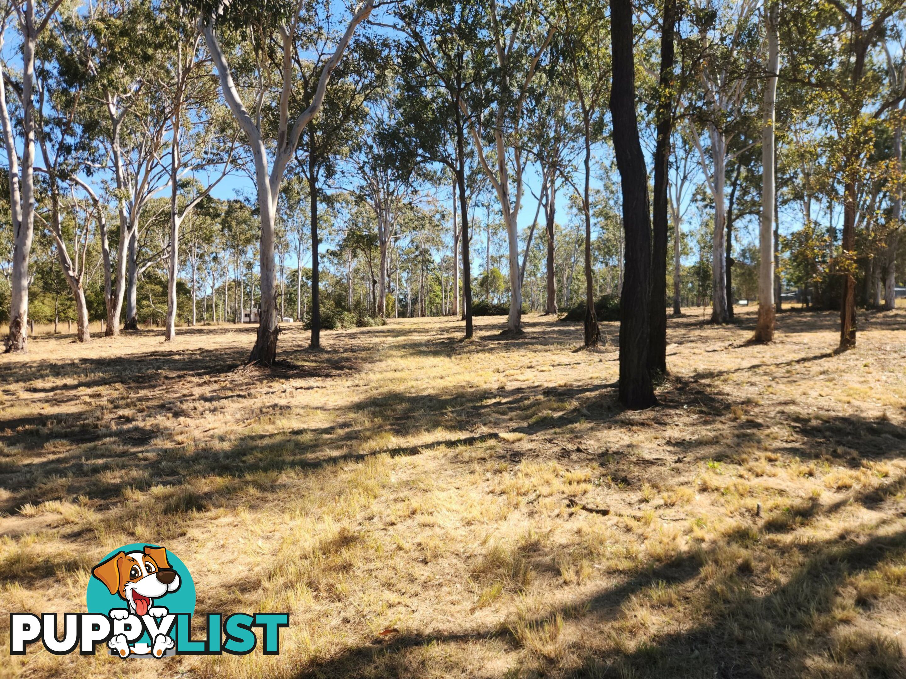 Lot 50 McClymont Road WATTLE CAMP QLD 4615