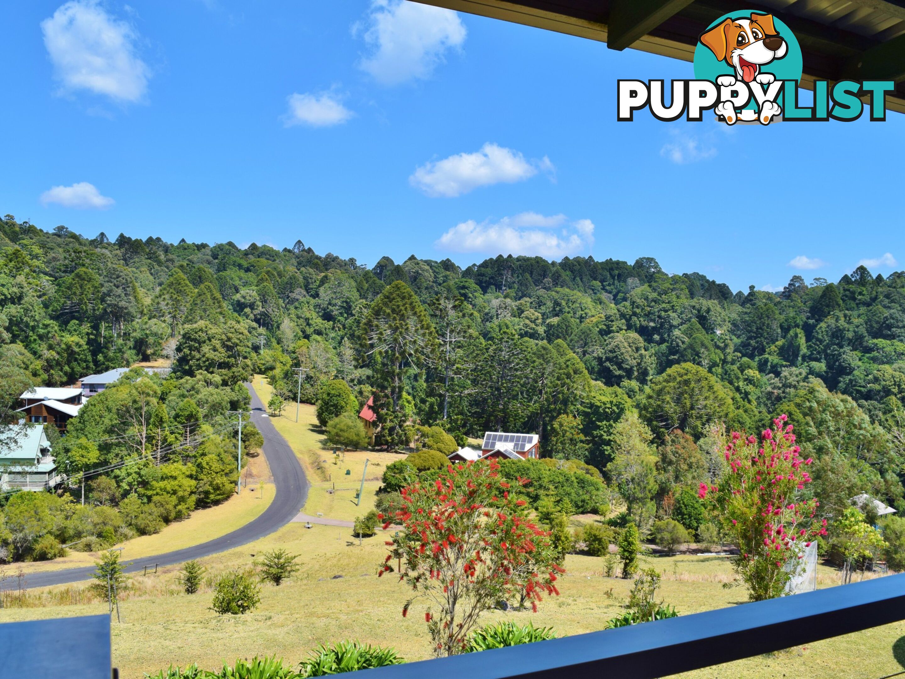 49 Bowerbird Lane BUNYA MOUNTAINS QLD 4405