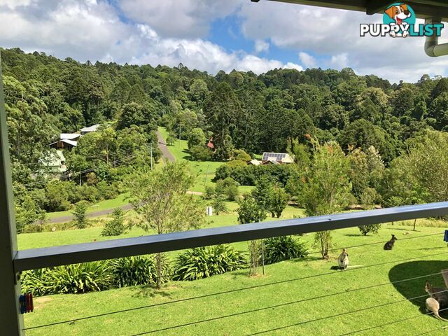 49 Bowerbird Lane BUNYA MOUNTAINS QLD 4405