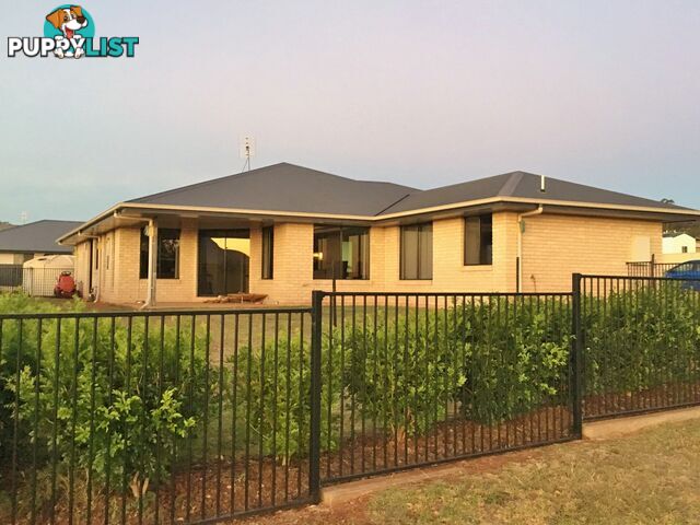 17 Bridgeman Parade KINGAROY QLD 4610