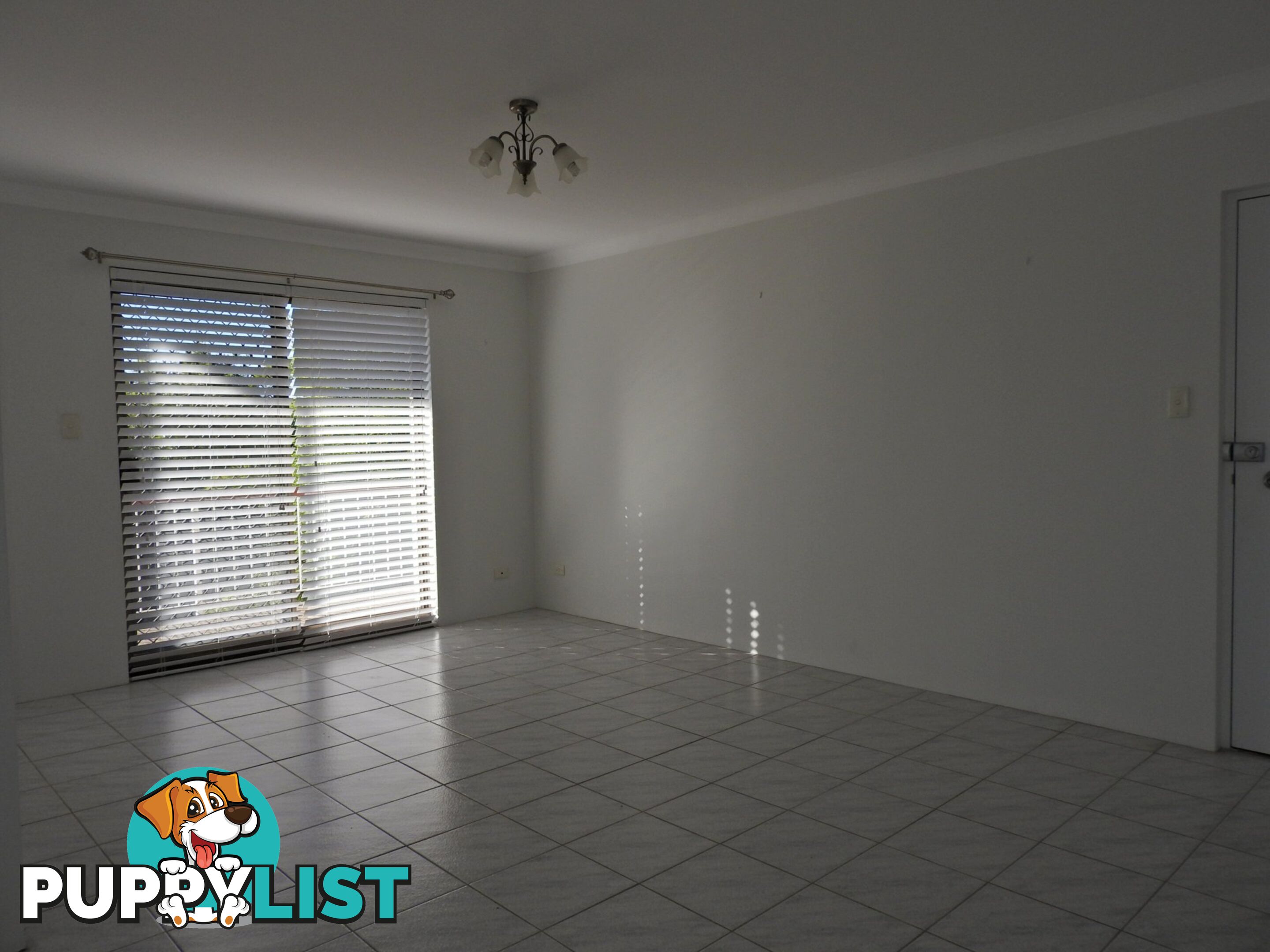 12 Toohey Avenue GREENSLOPES QLD 4120