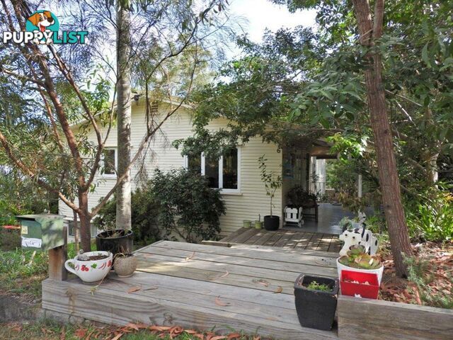 6 Yanina Street THE GAP QLD 4061