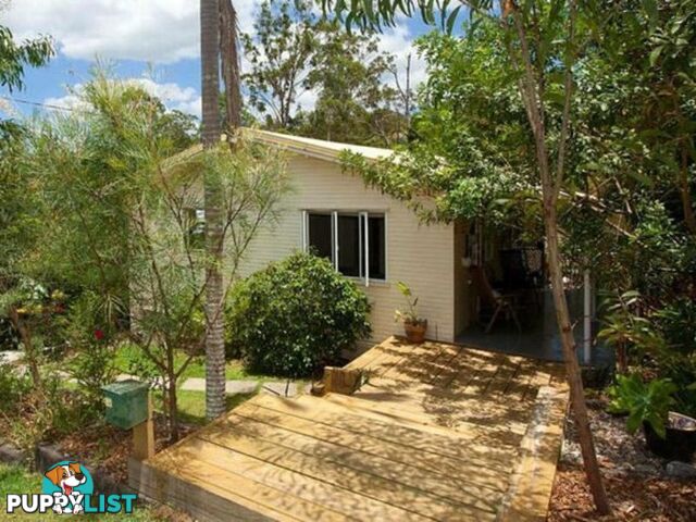 6 Yanina Street THE GAP QLD 4061