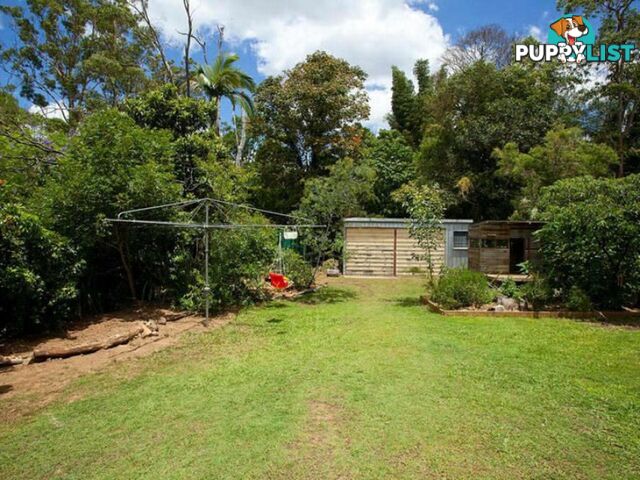 6 Yanina Street THE GAP QLD 4061