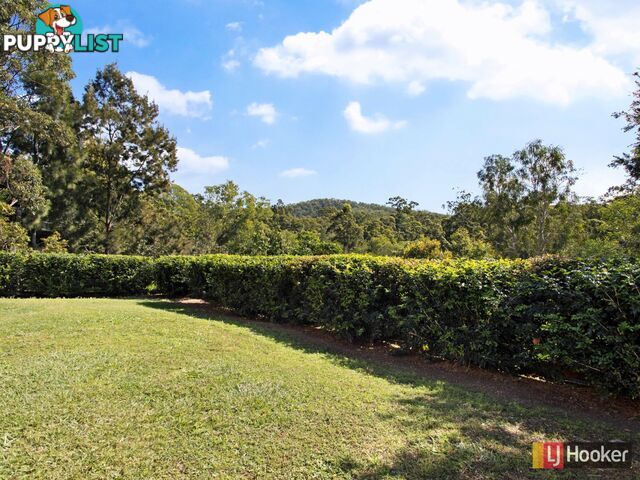 19 Outlook Terrace FERNY GROVE QLD 4055