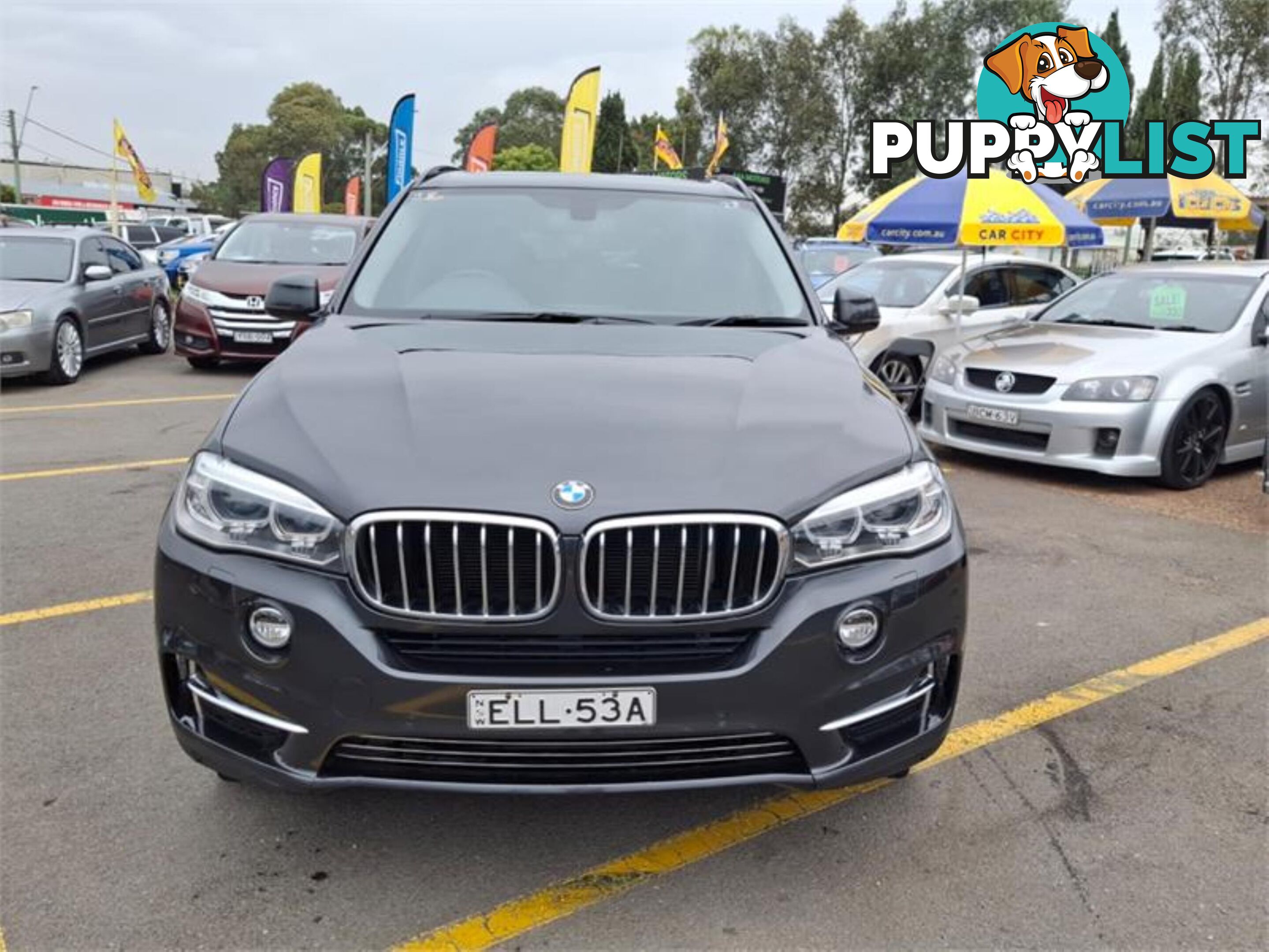 2014 BMW X5 SDRIVE25D F15MY14 4D WAGON