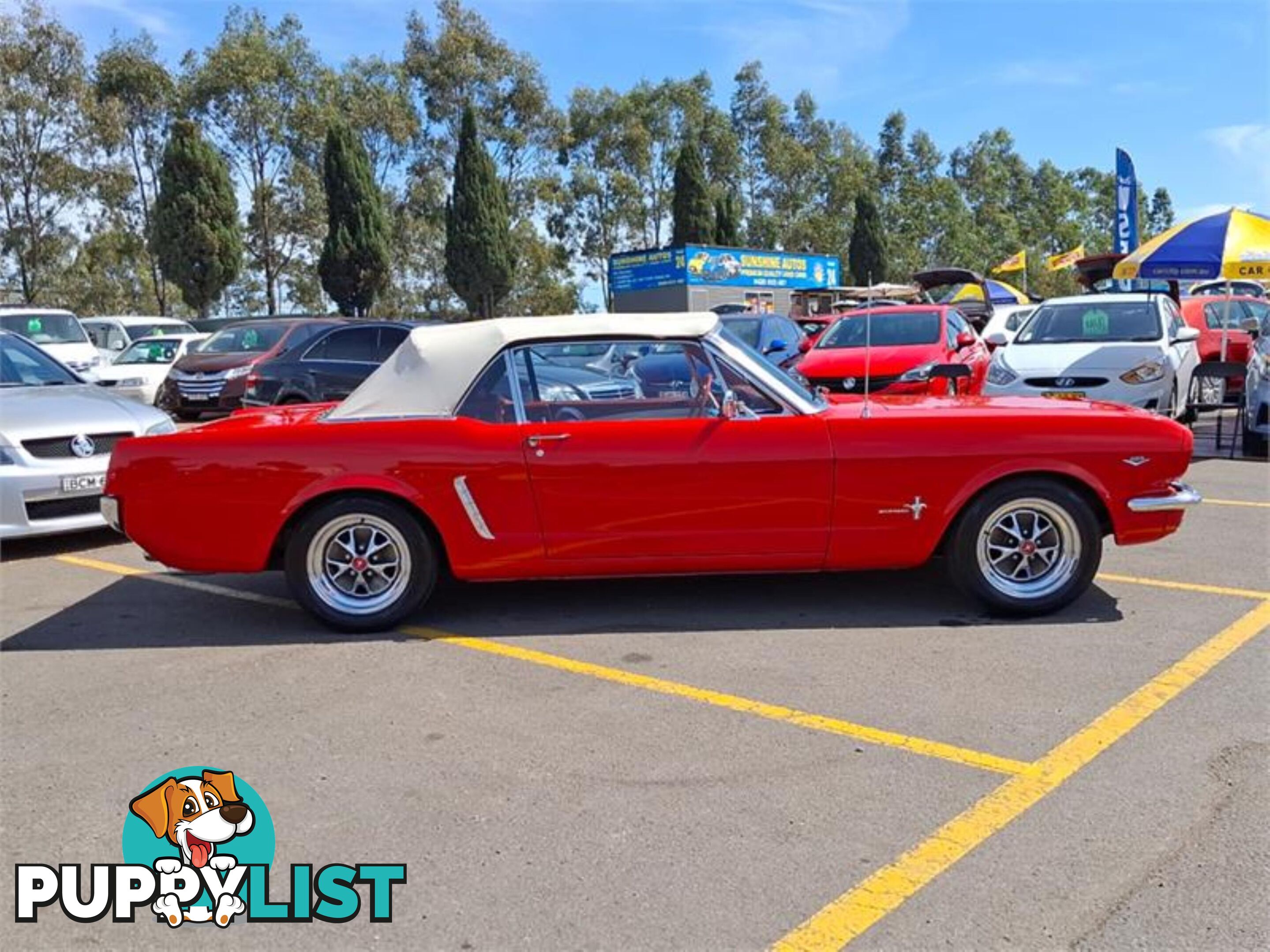 1965 FORD MUSTANG   CONVERTIBLE