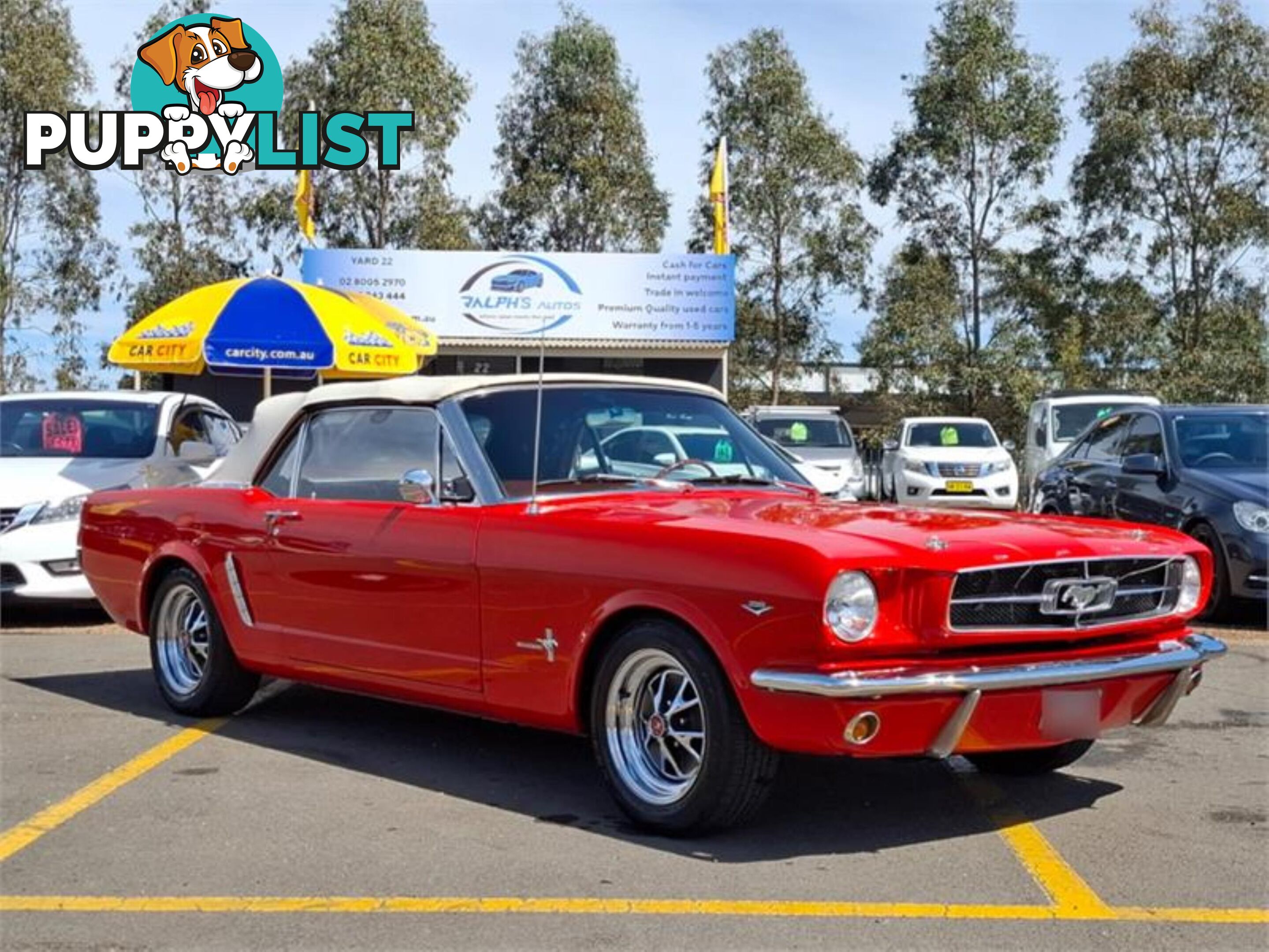 1965 FORD MUSTANG   CONVERTIBLE