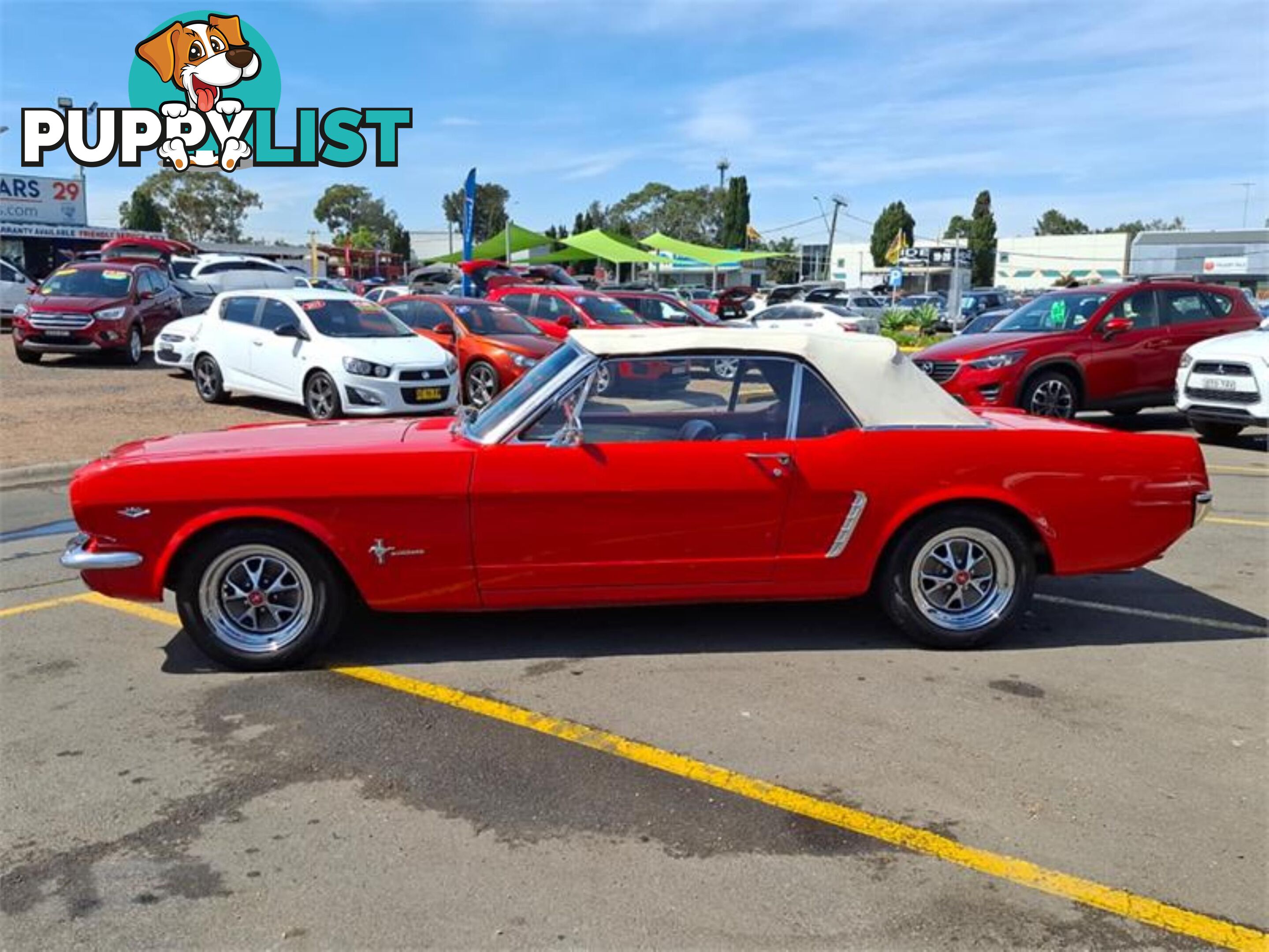 1965 FORD MUSTANG   CONVERTIBLE