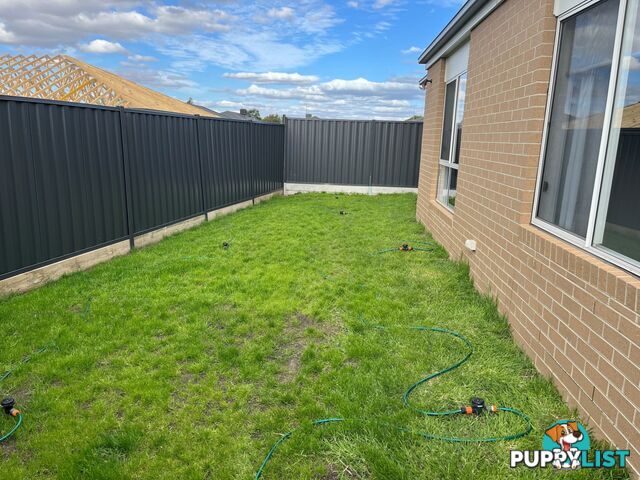 11 Greenaway Drive KILMORE VIC 3764