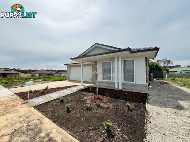 3 Bloodwood St BROADFORD VIC 3658