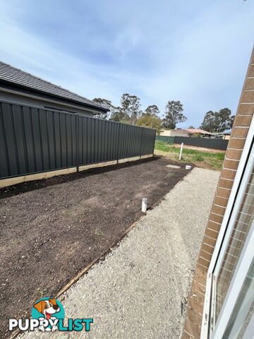 3 Bloodwood St BROADFORD VIC 3658
