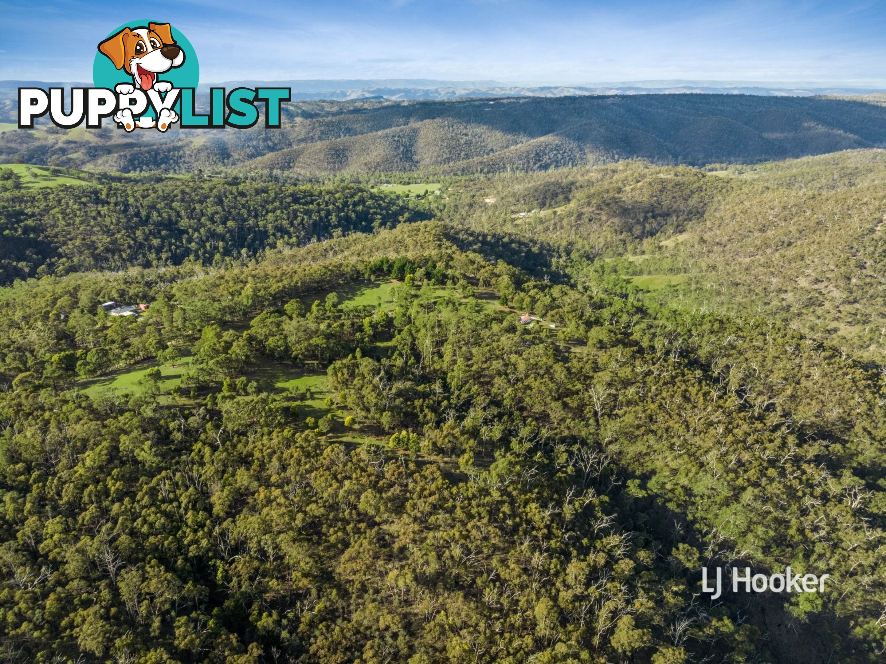 80 Peel Road REEDY CREEK VIC 3658