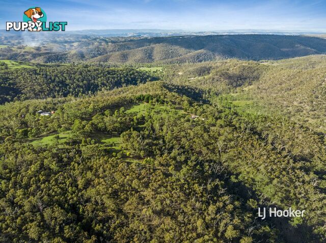 80 Peel Road REEDY CREEK VIC 3658