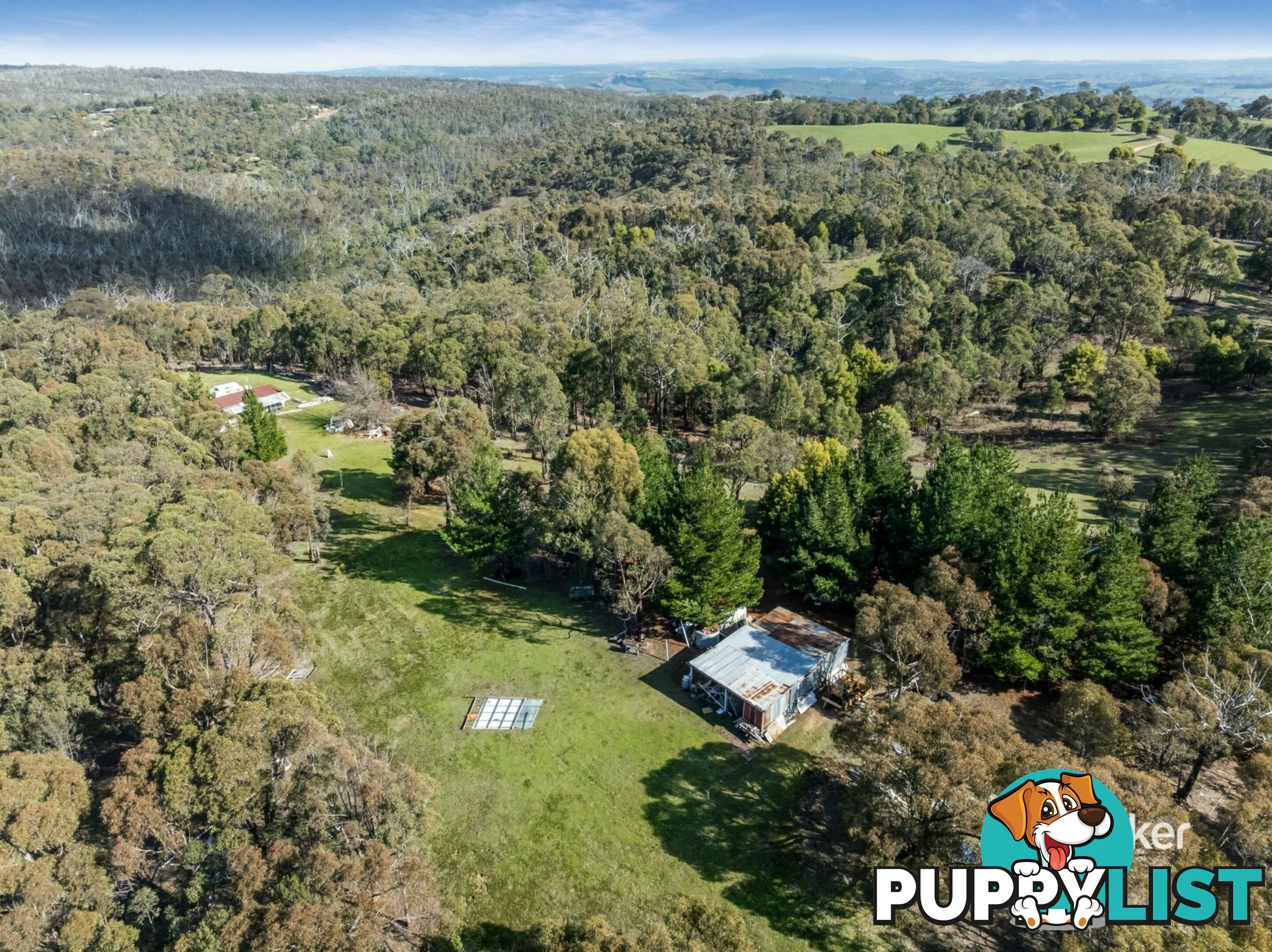 80 Peel Road REEDY CREEK VIC 3658