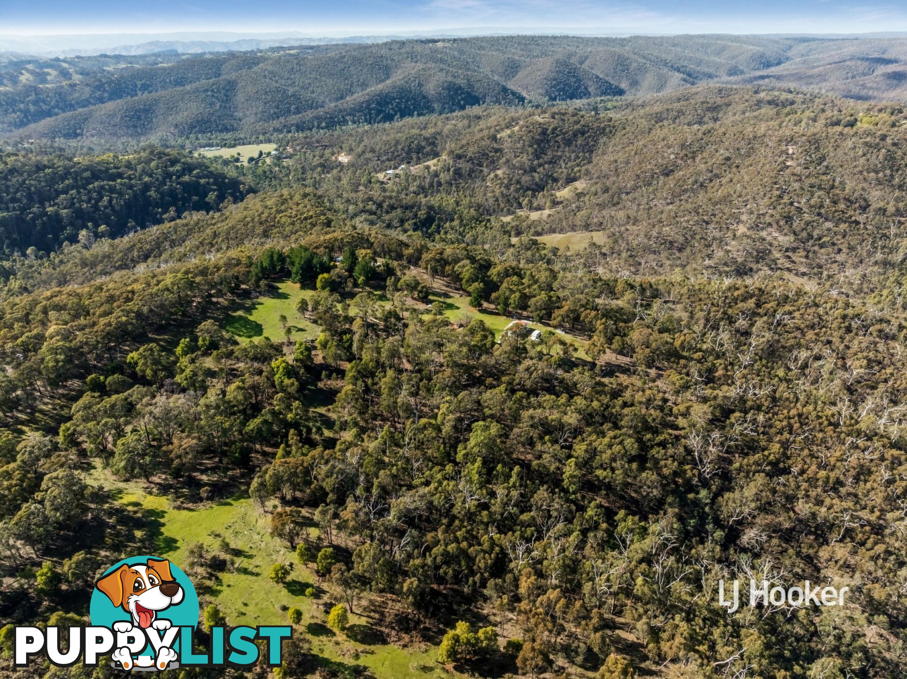 80 Peel Road REEDY CREEK VIC 3658
