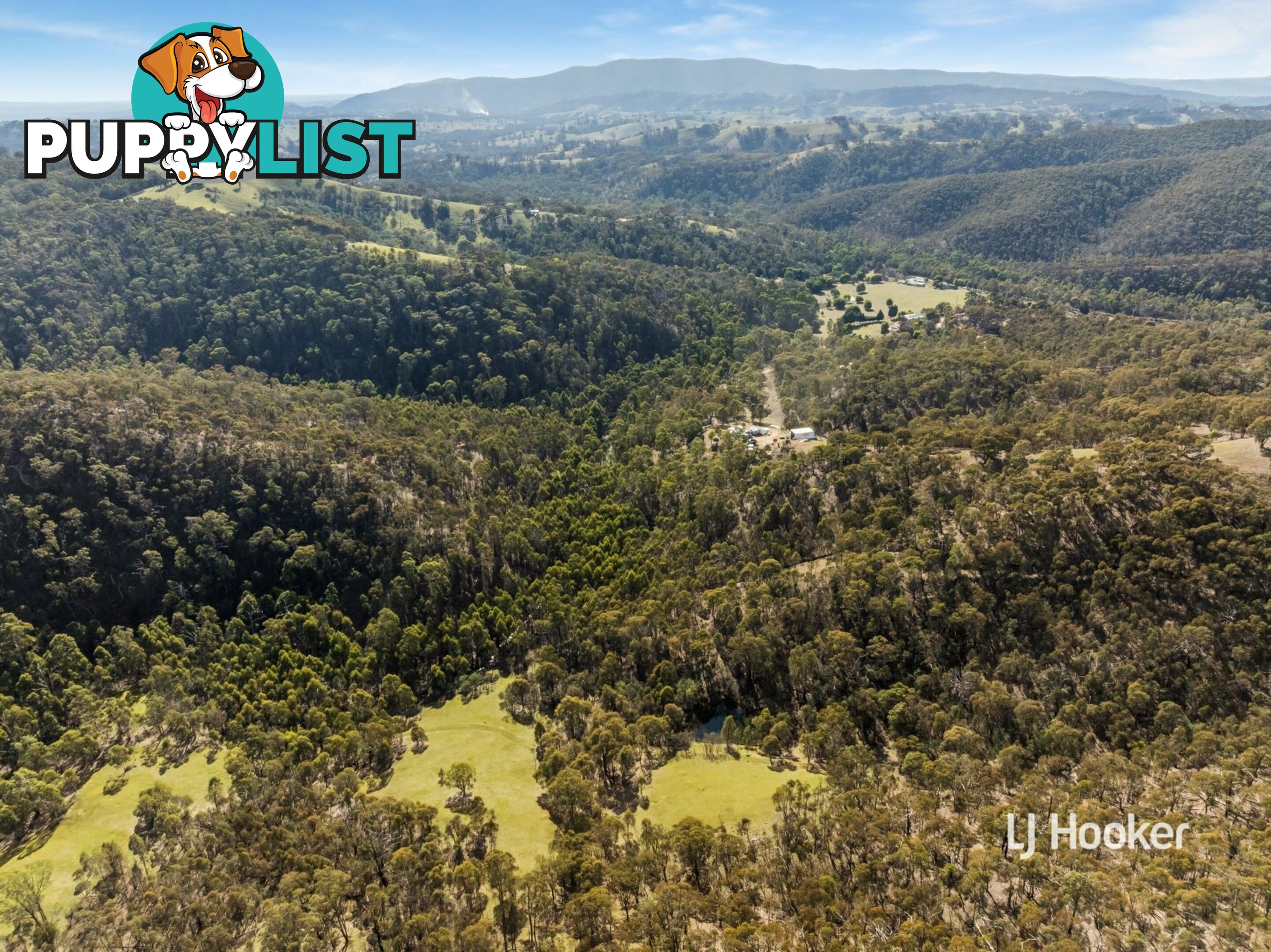 80 Peel Road REEDY CREEK VIC 3658