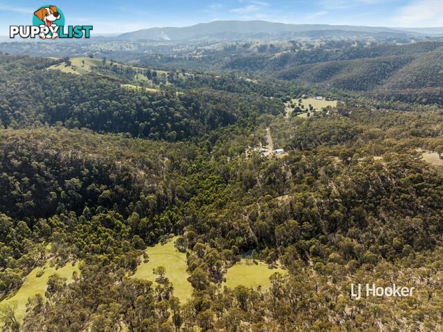 80 Peel Road REEDY CREEK VIC 3658