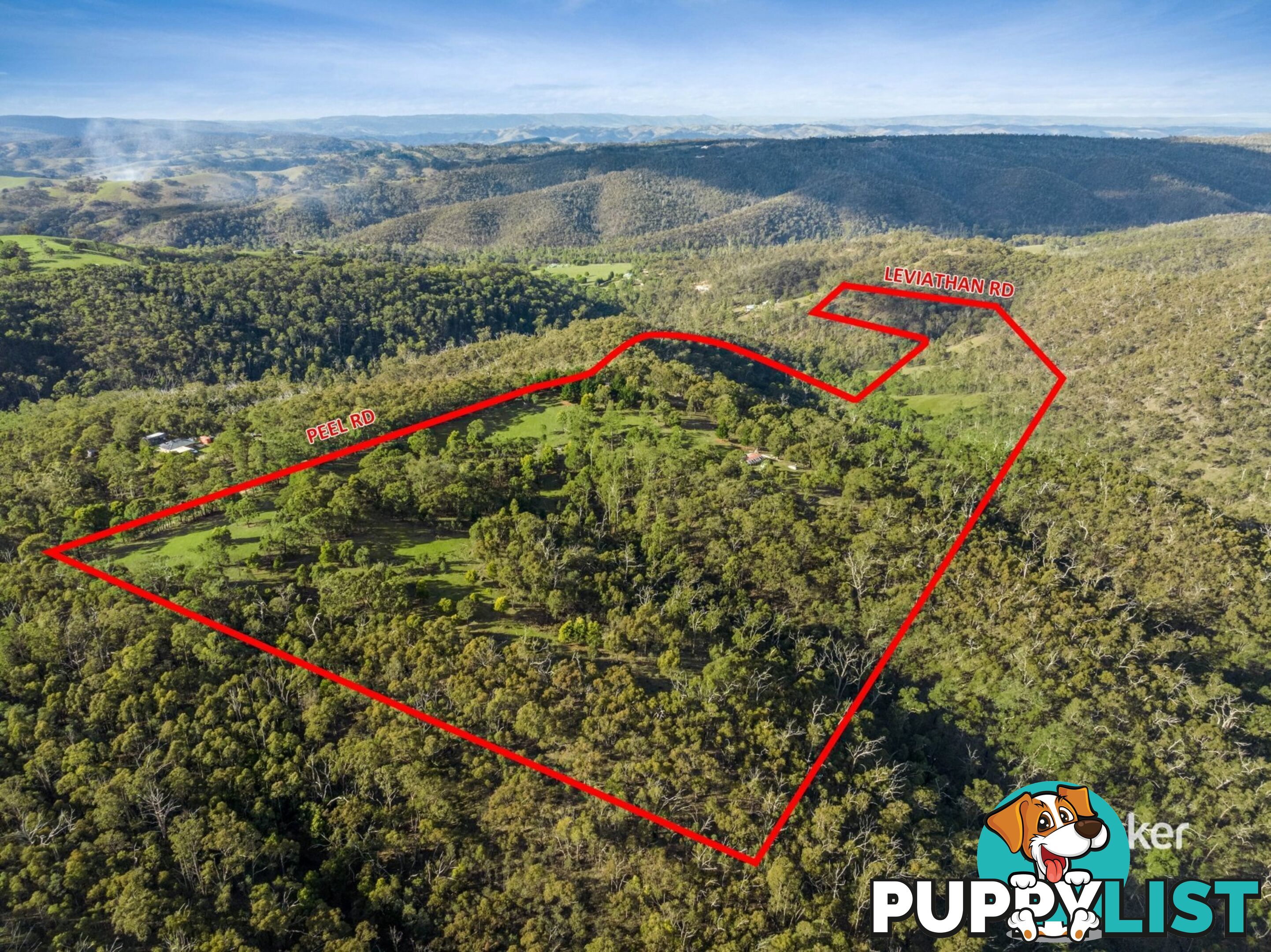 80 Peel Road REEDY CREEK VIC 3658