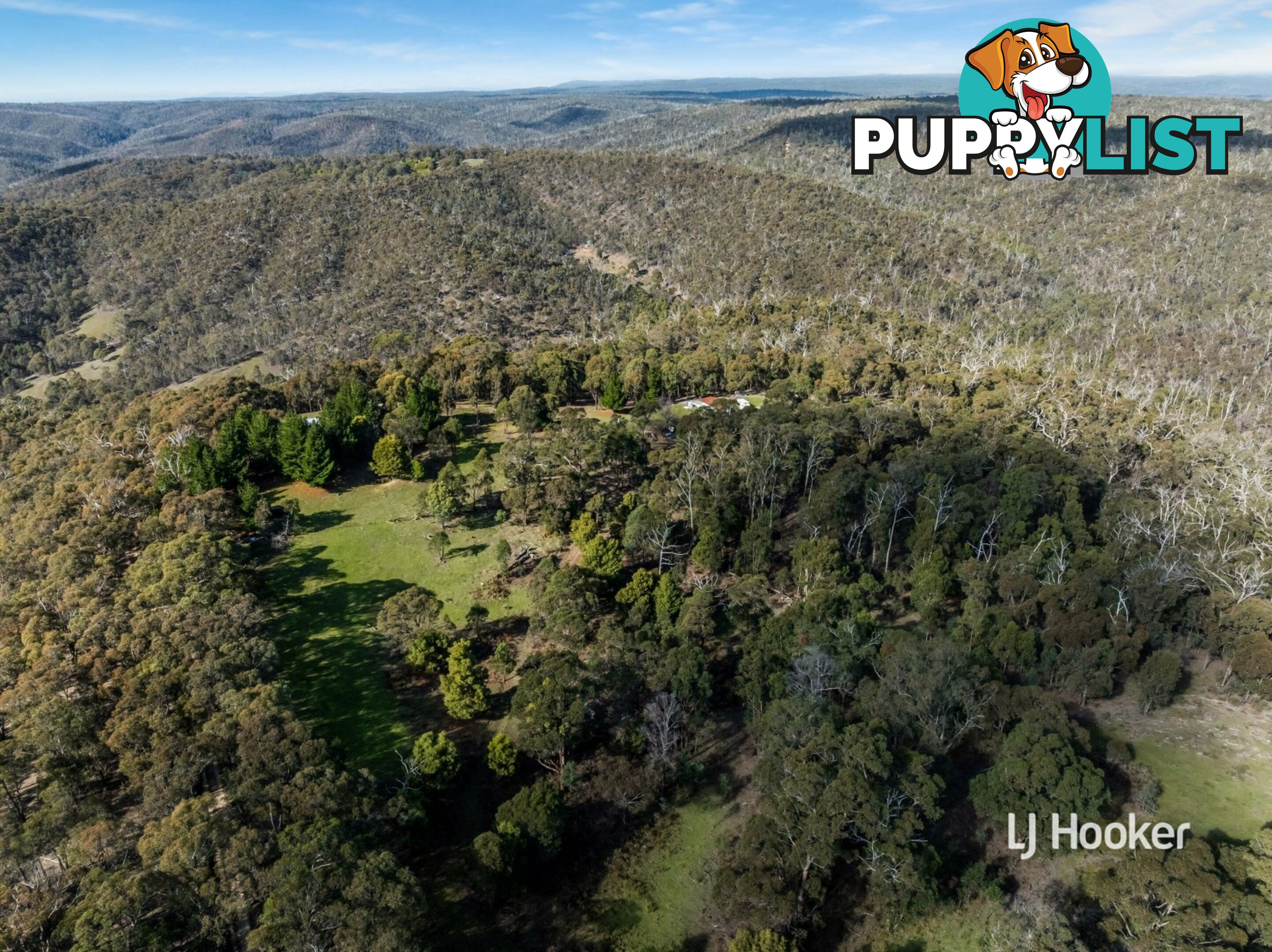 80 Peel Road REEDY CREEK VIC 3658