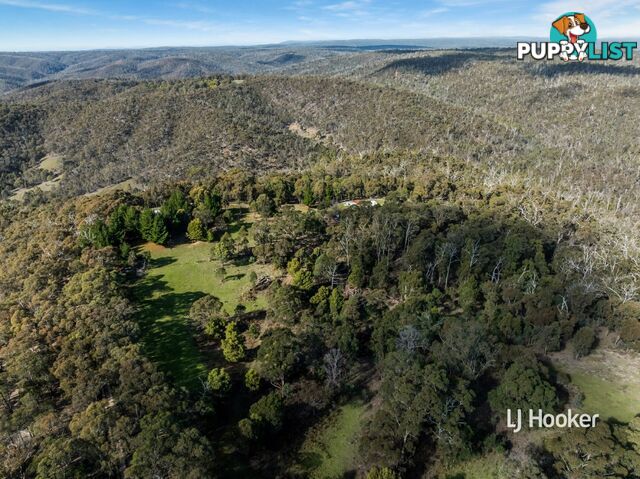 80 Peel Road REEDY CREEK VIC 3658