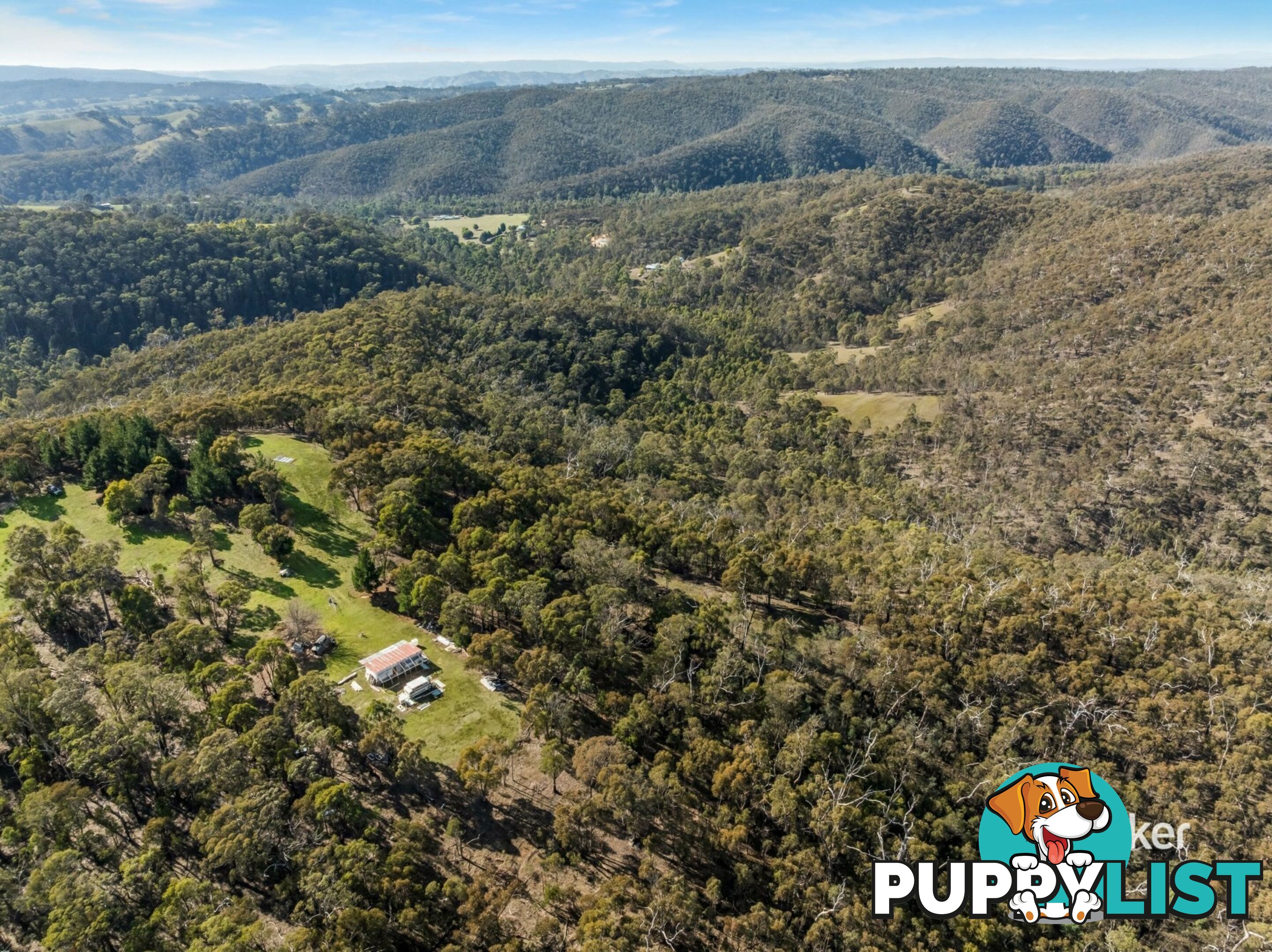 80 Peel Road REEDY CREEK VIC 3658