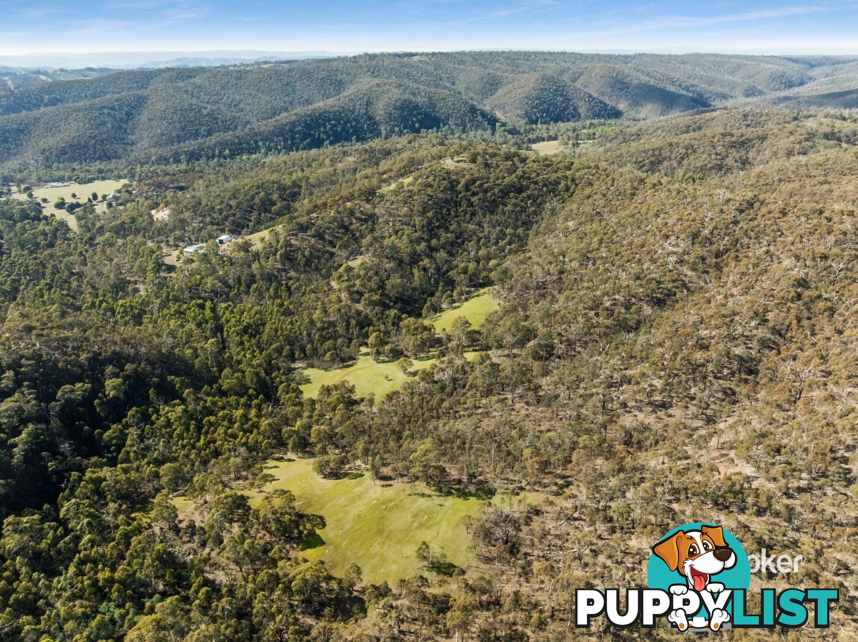 80 Peel Road REEDY CREEK VIC 3658