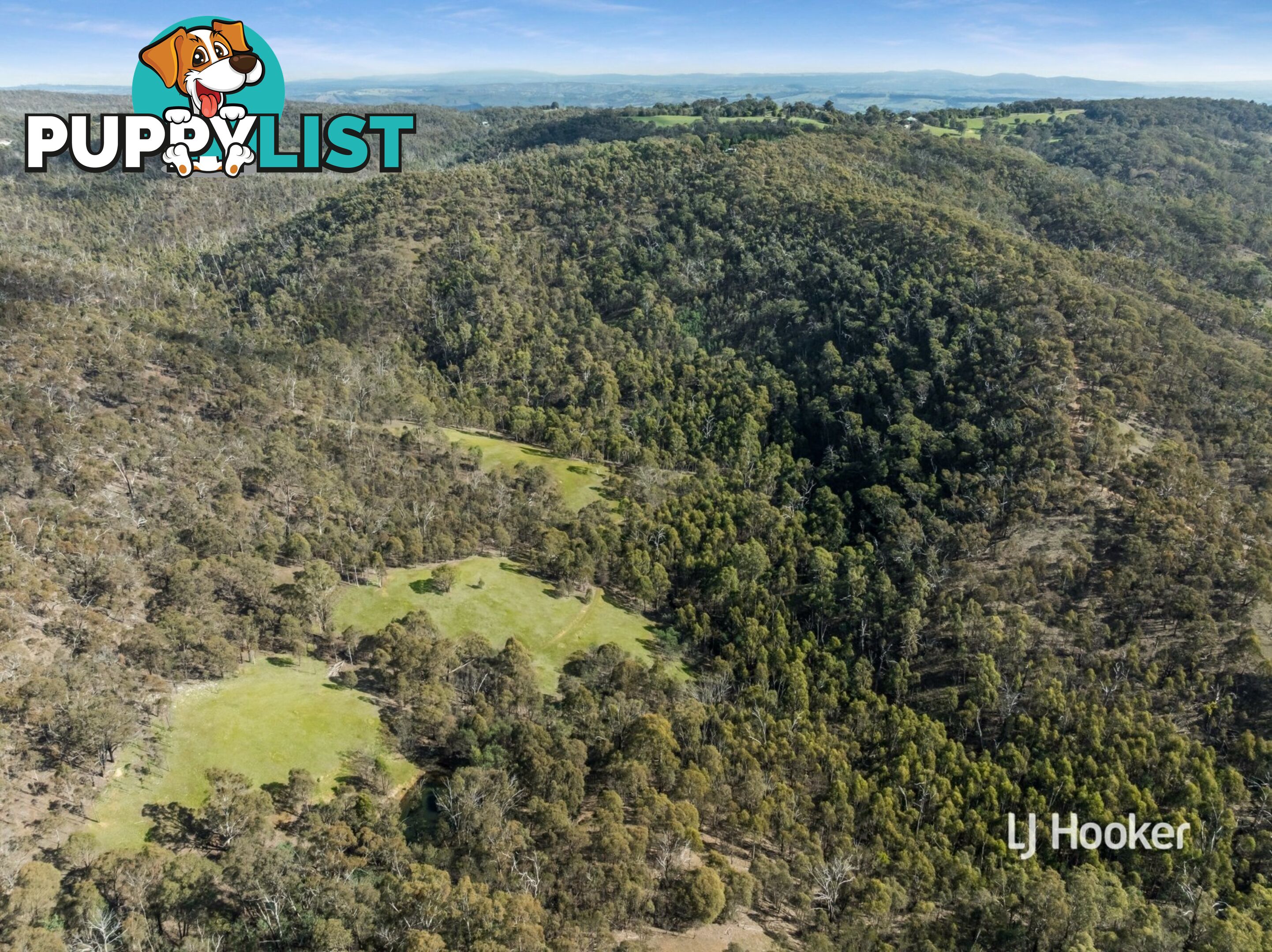 80 Peel Road REEDY CREEK VIC 3658
