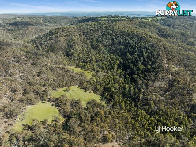 80 Peel Road REEDY CREEK VIC 3658