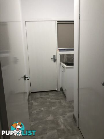 16 May Street KILMORE VIC 3764