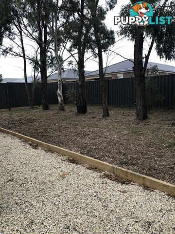 16 May Street KILMORE VIC 3764