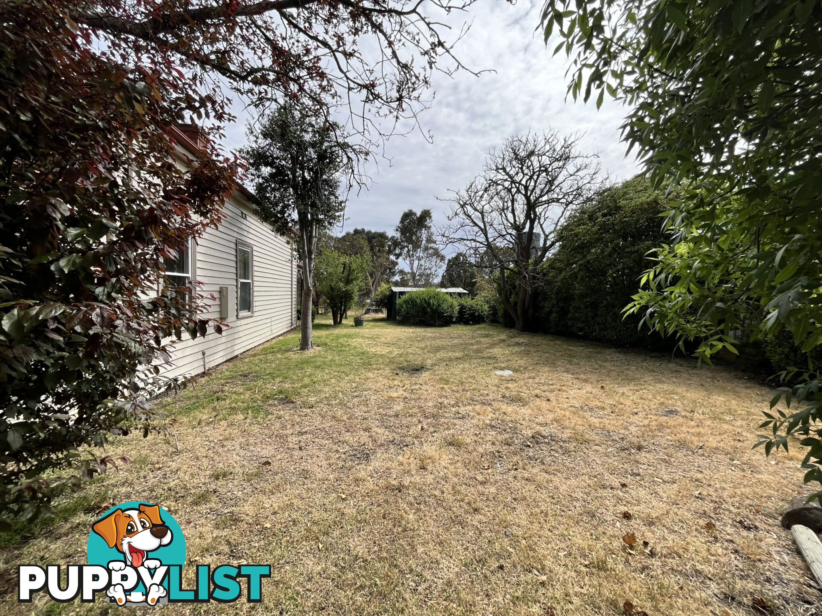 16 Derek Drive BROADFORD VIC 3658