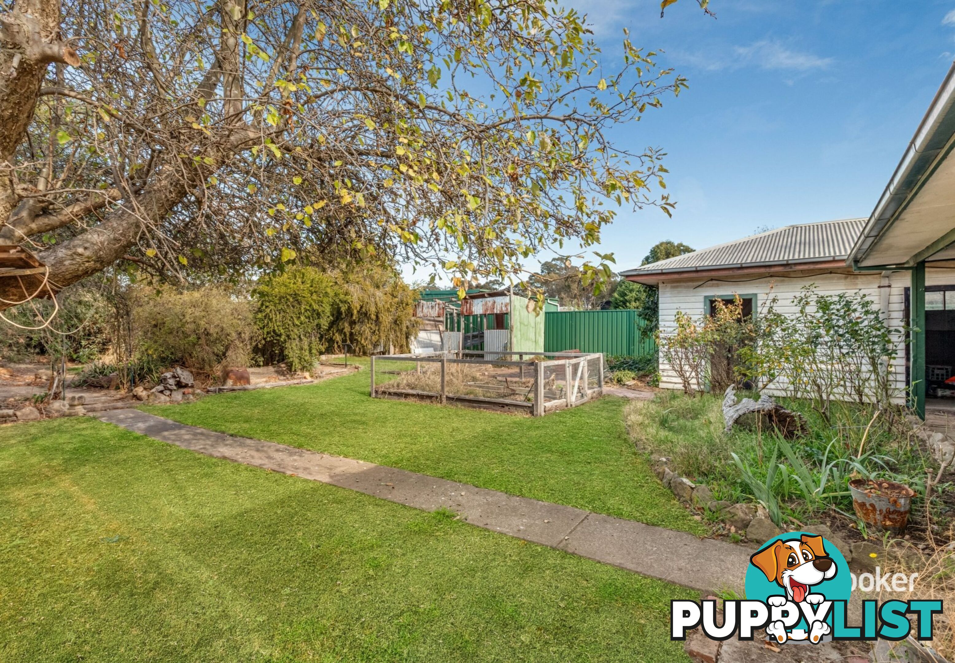 12 Ferguson Street BROADFORD VIC 3658